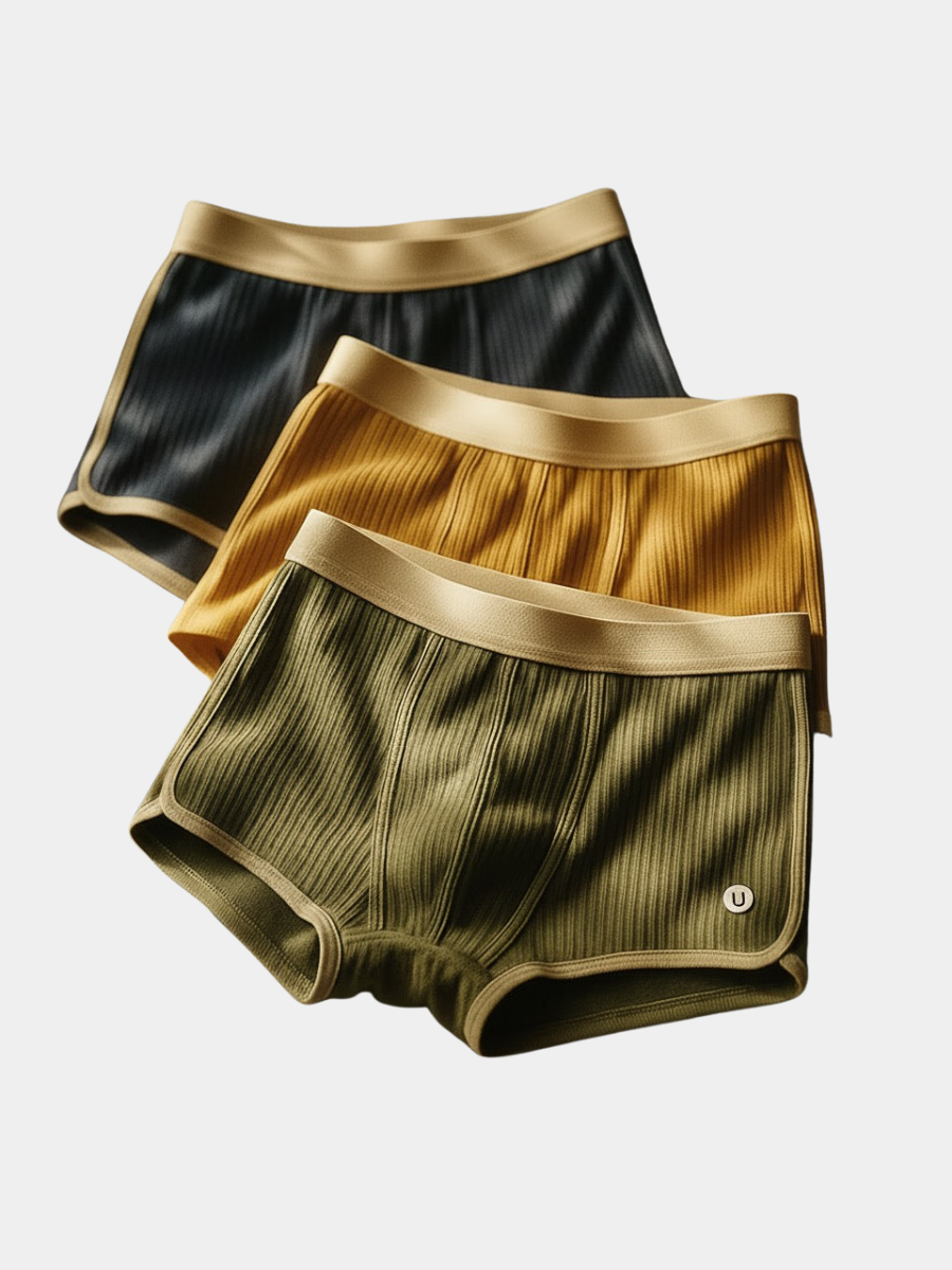 DUMONT LYON | BOXER EN COTON BIOLOGIQUE POUR HOMME (lot de 3)